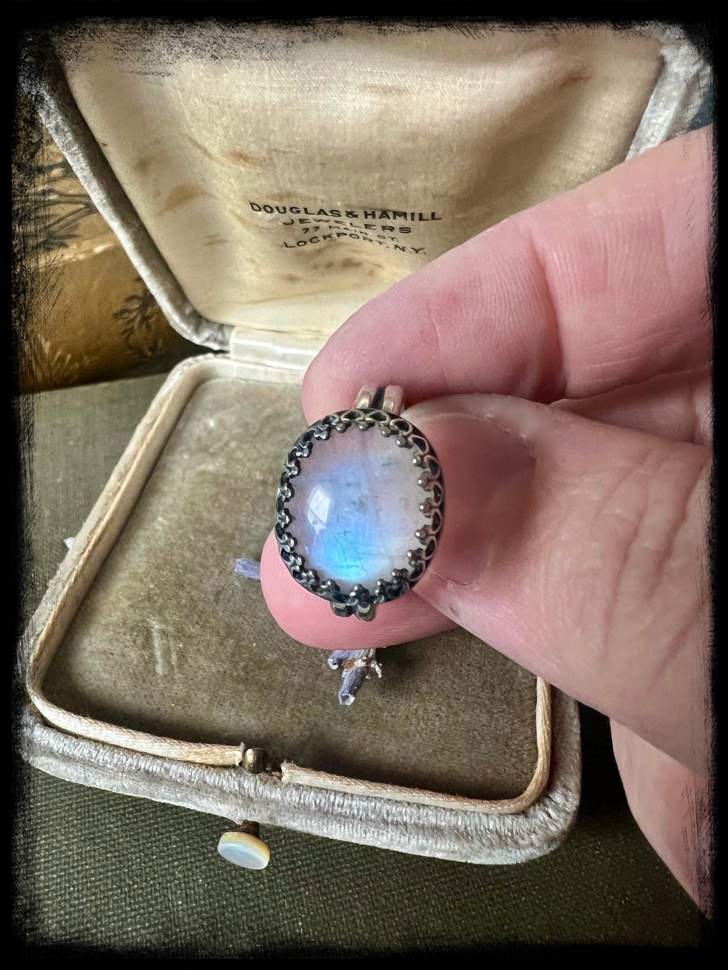 Moonstone set in Sterling Silver Ring Size - 7