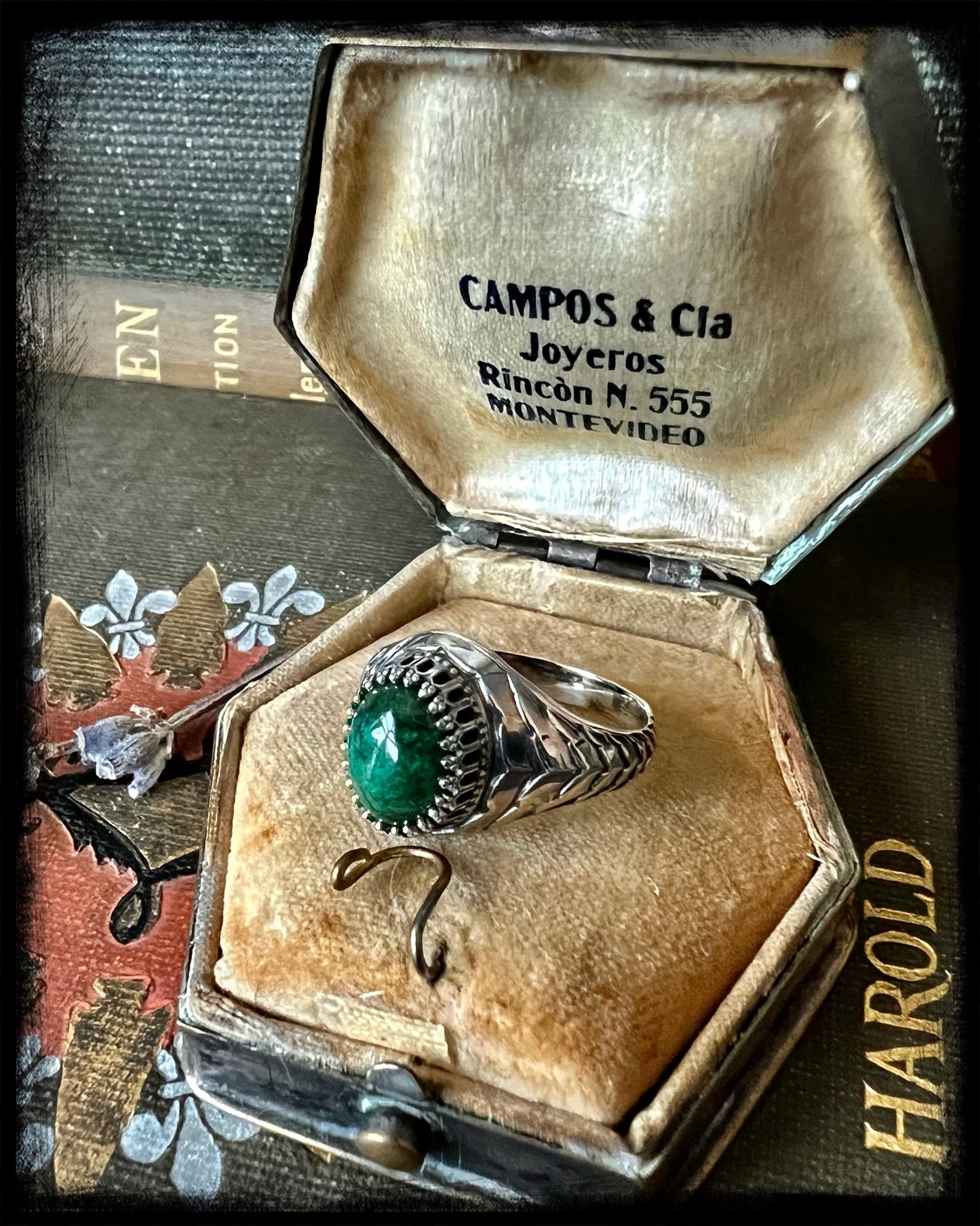 Chrysoprase set in Sterling Silver Scales Ring Size 6.75