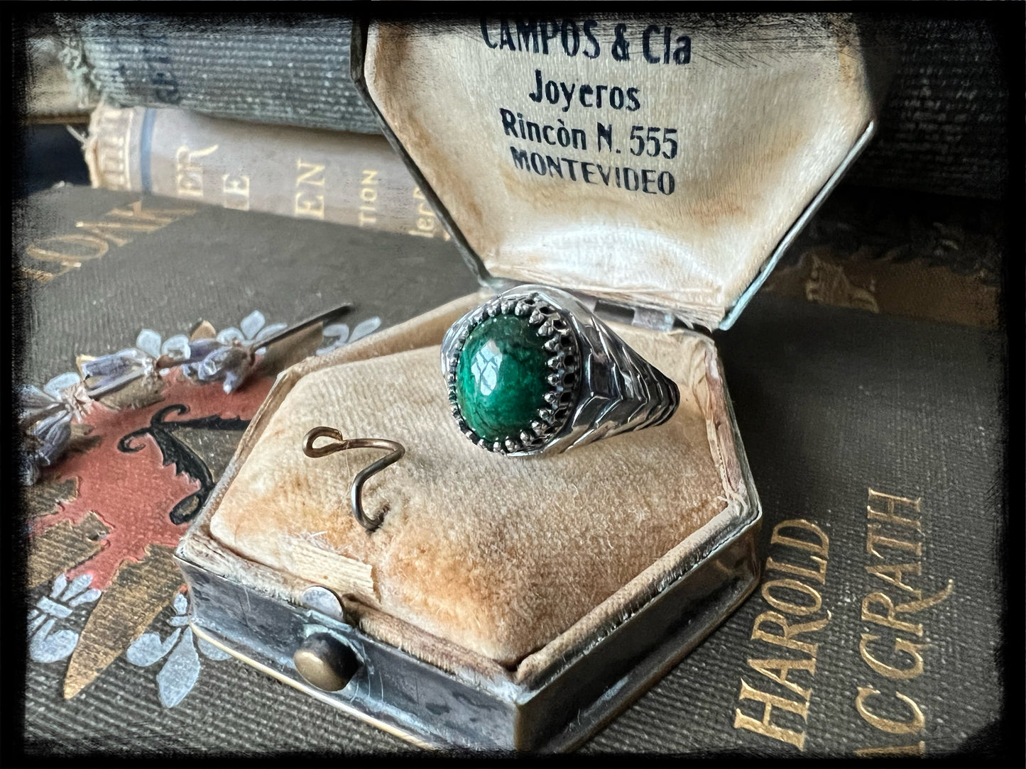 Chrysoprase set in Sterling Silver Scales Ring Size 6.75