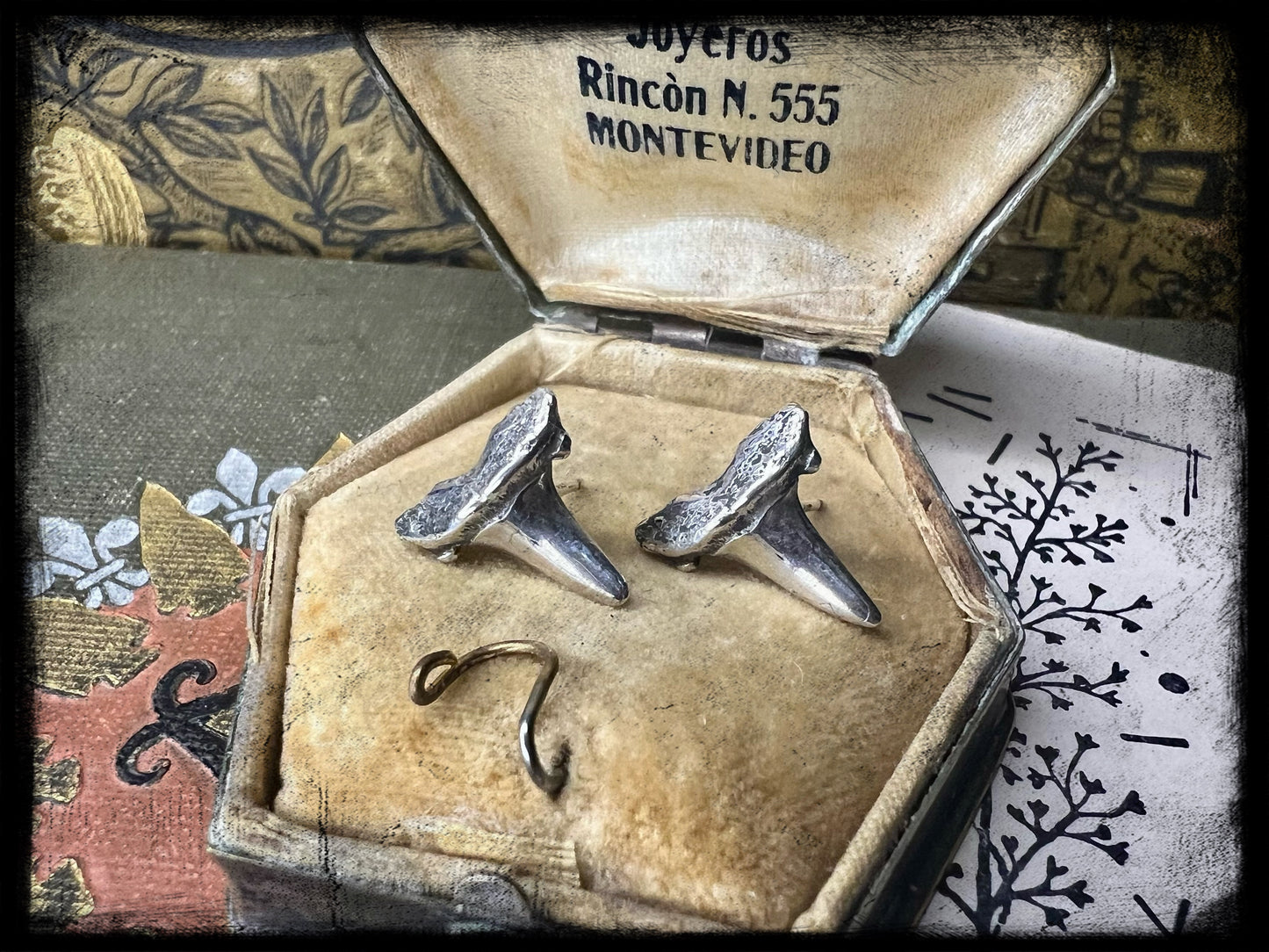 Sterling Silver Shark Tooth Earrings