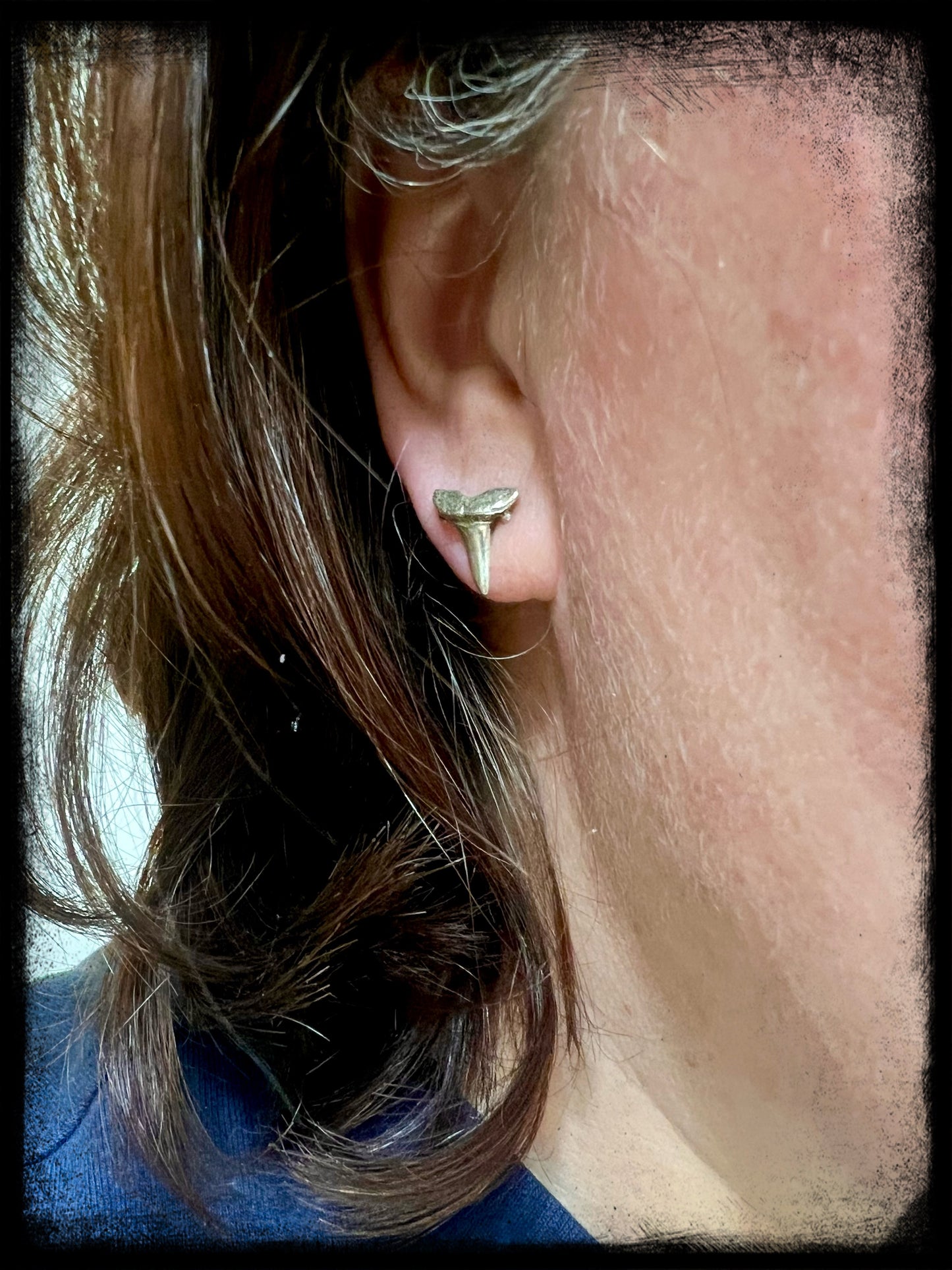 Sterling Silver Shark Tooth Earrings