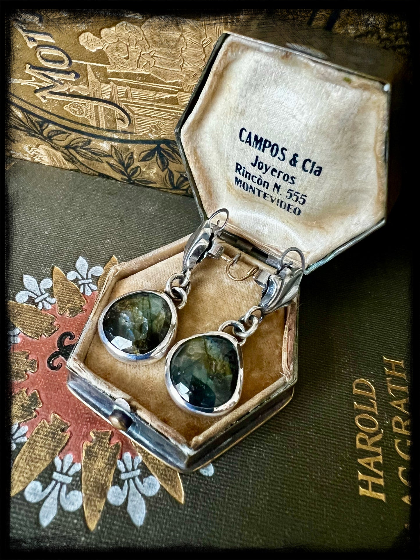 Labradorite Drop Earrings