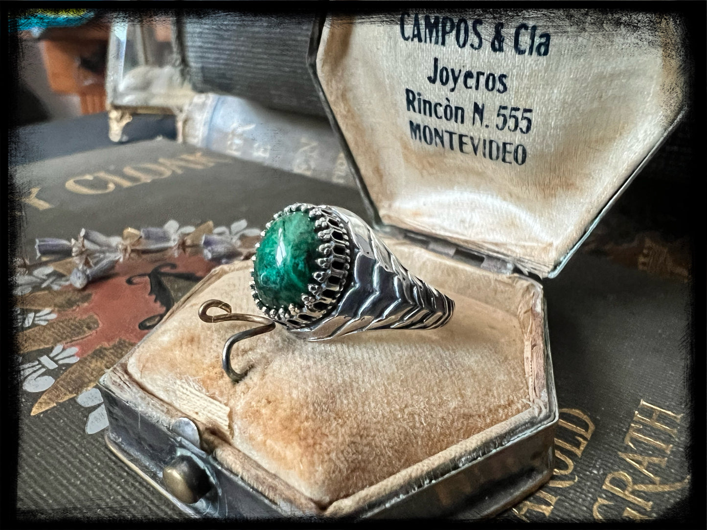 Chrysoprase set in Sterling Silver Scales Ring Size 6.75